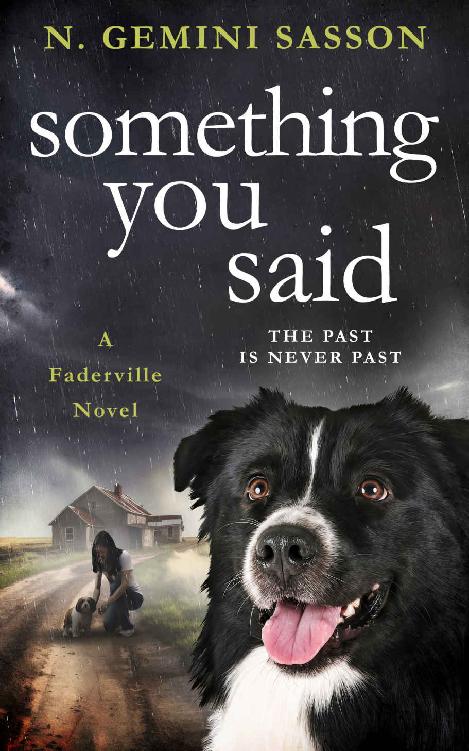 Something You Said (The Faderville Novels Book 6)