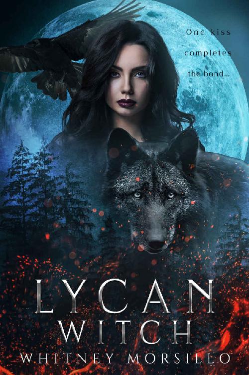 Lycan Witch: A New Adult Paranormal Romance (Silver Wolves of Lockwood Series Book 2)