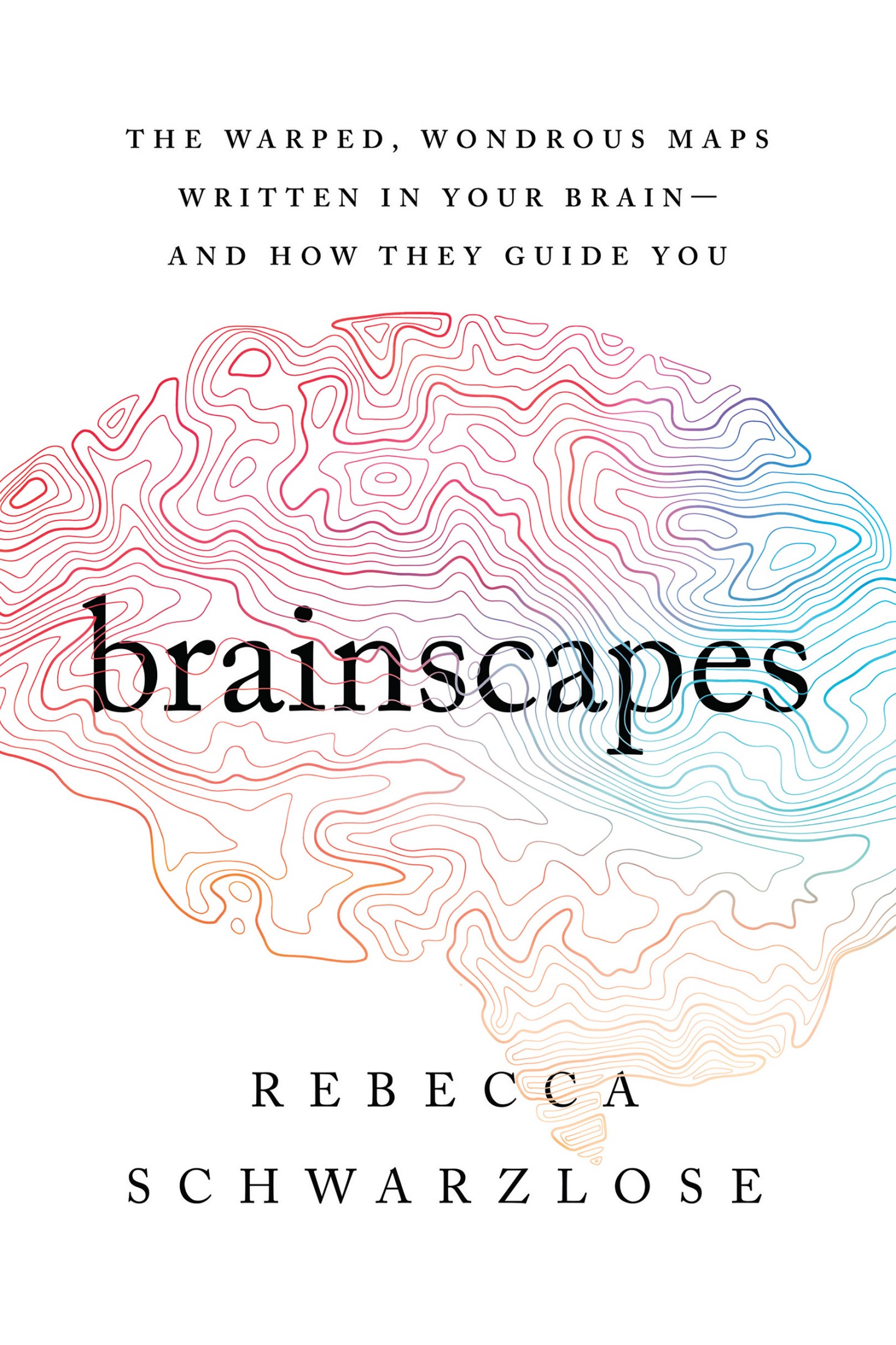 Brainscapes