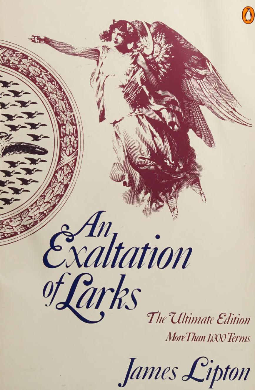 An exaltation of larks