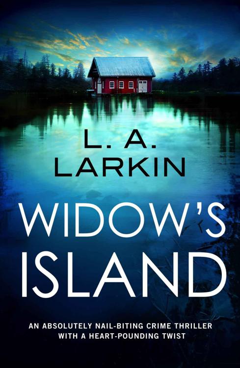 Widow's Island: An absolutely nail-biting crime thriller with a heart-pounding twist