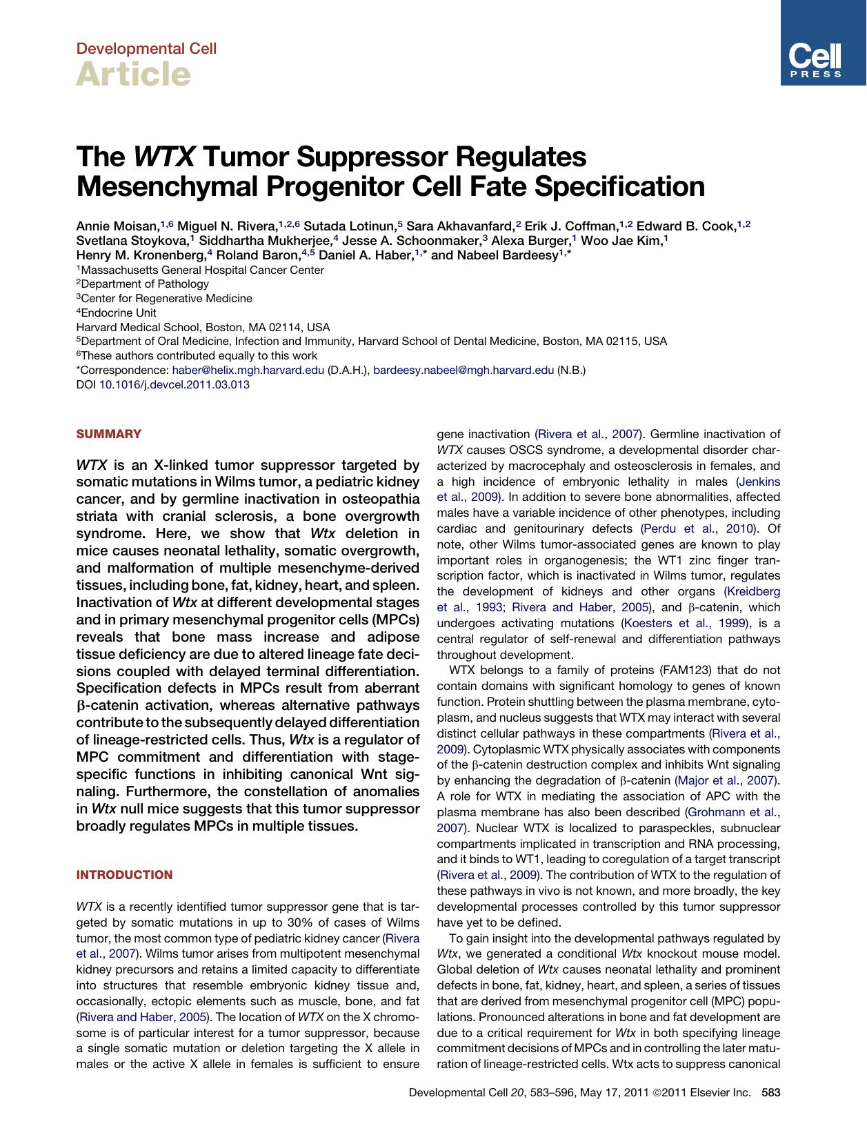 The WTX Tumor Suppressor Regulates Mesenchymal Progenitor Cell Fate Specification