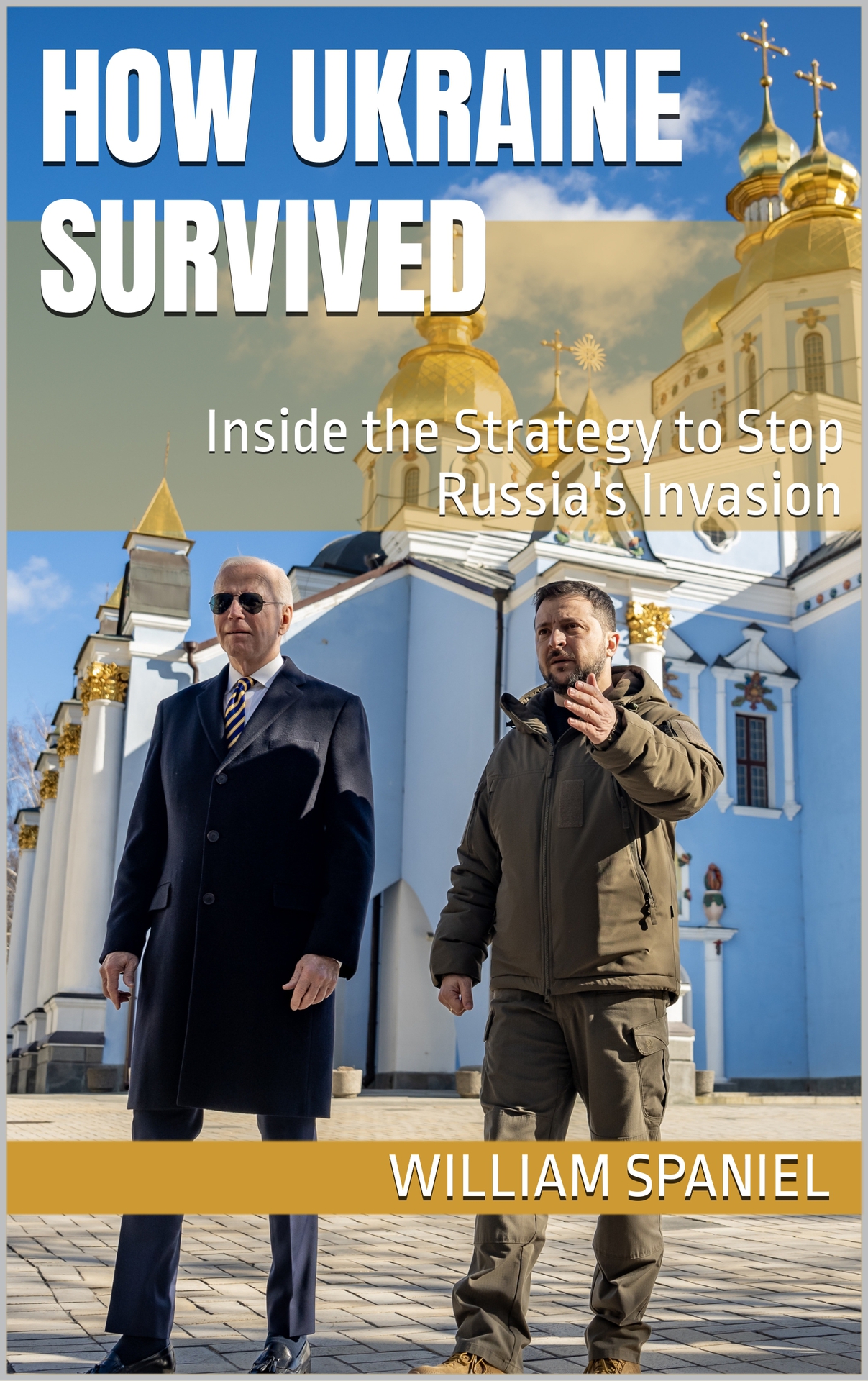 How Ukraine Survived: Inside the Strategy to Stop Russia's Invasion