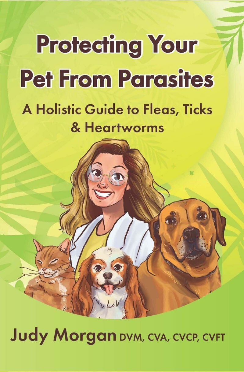 Protecting Your Pets from Parasites: A Holistic Guide to Fleas, Ticks & Heartworms