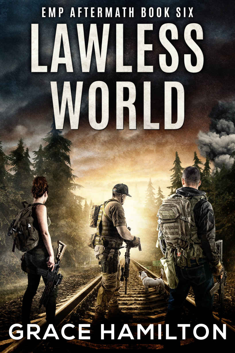 Lawless World (EMP Aftermath Book 6)