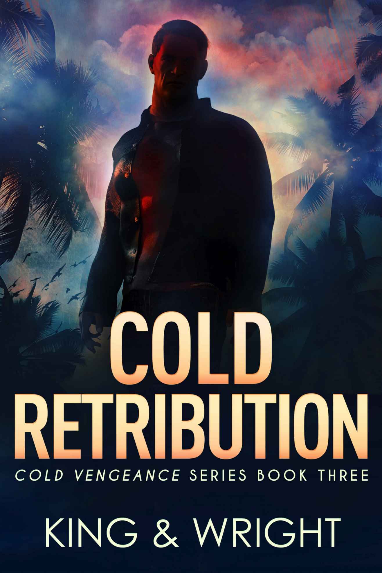 Cold Retribution (Cold Vengeance Book 3)