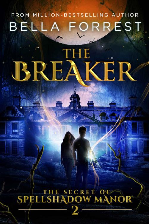 The Breaker