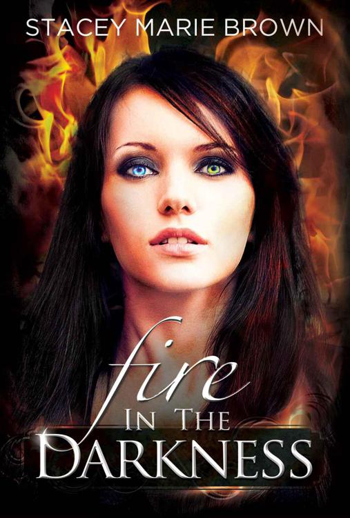 Fire In The Darkness (Darkness Series #2)