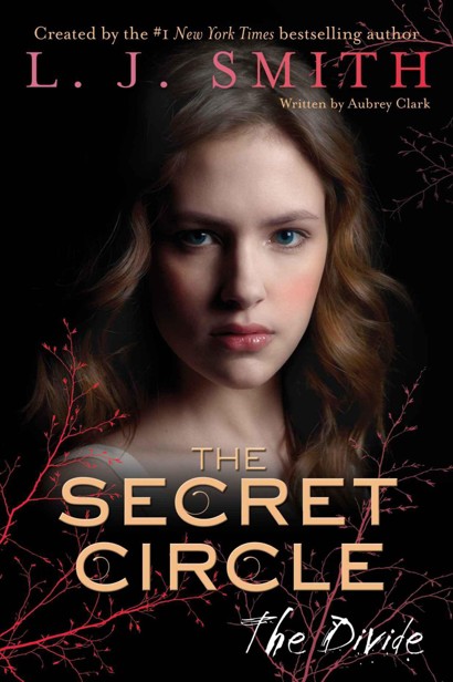 The Secret Circle: The Divide