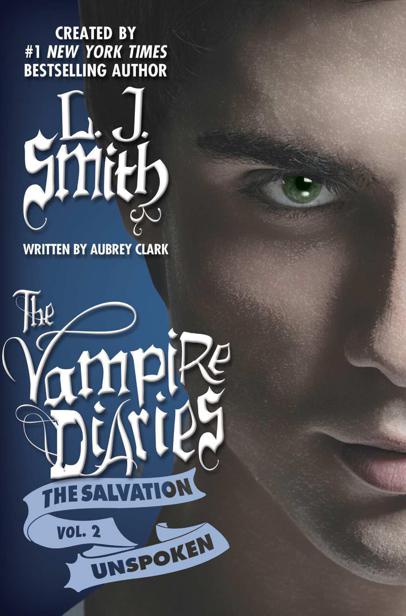 The Vampire Diaries: The Salvation: Unspoken