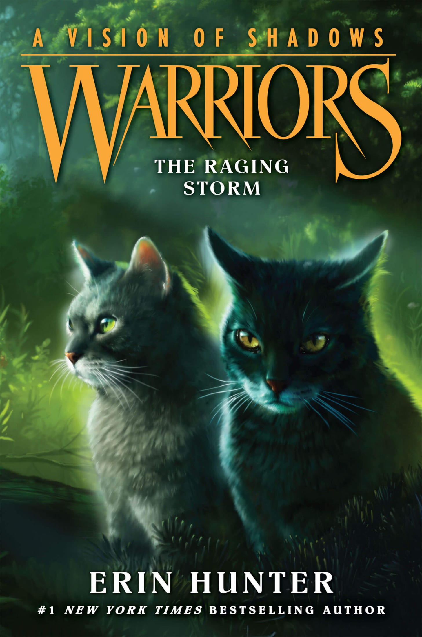 Warriors: A Vision of Shadows #6: The Raging Storm