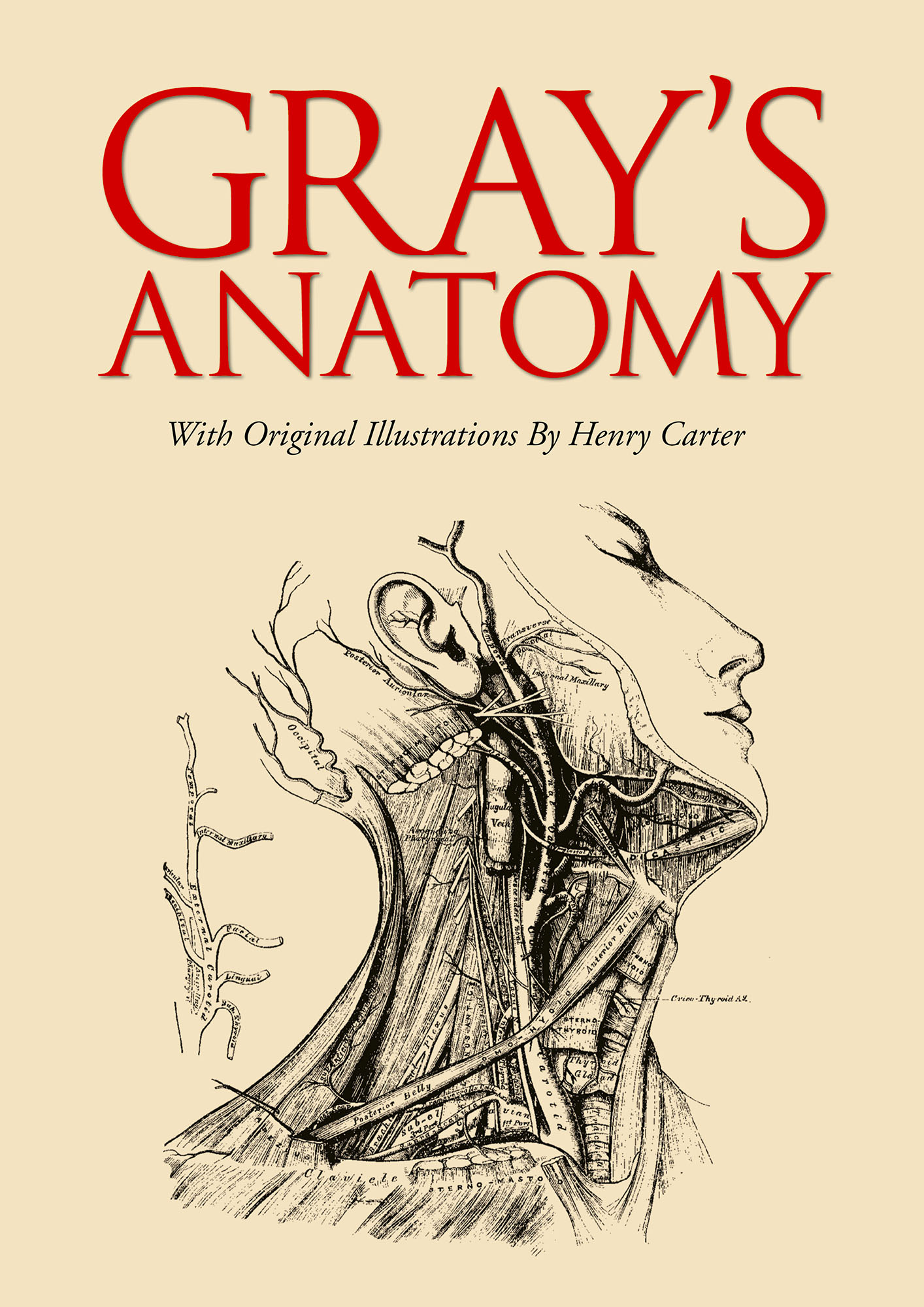 Gray's Anatomy