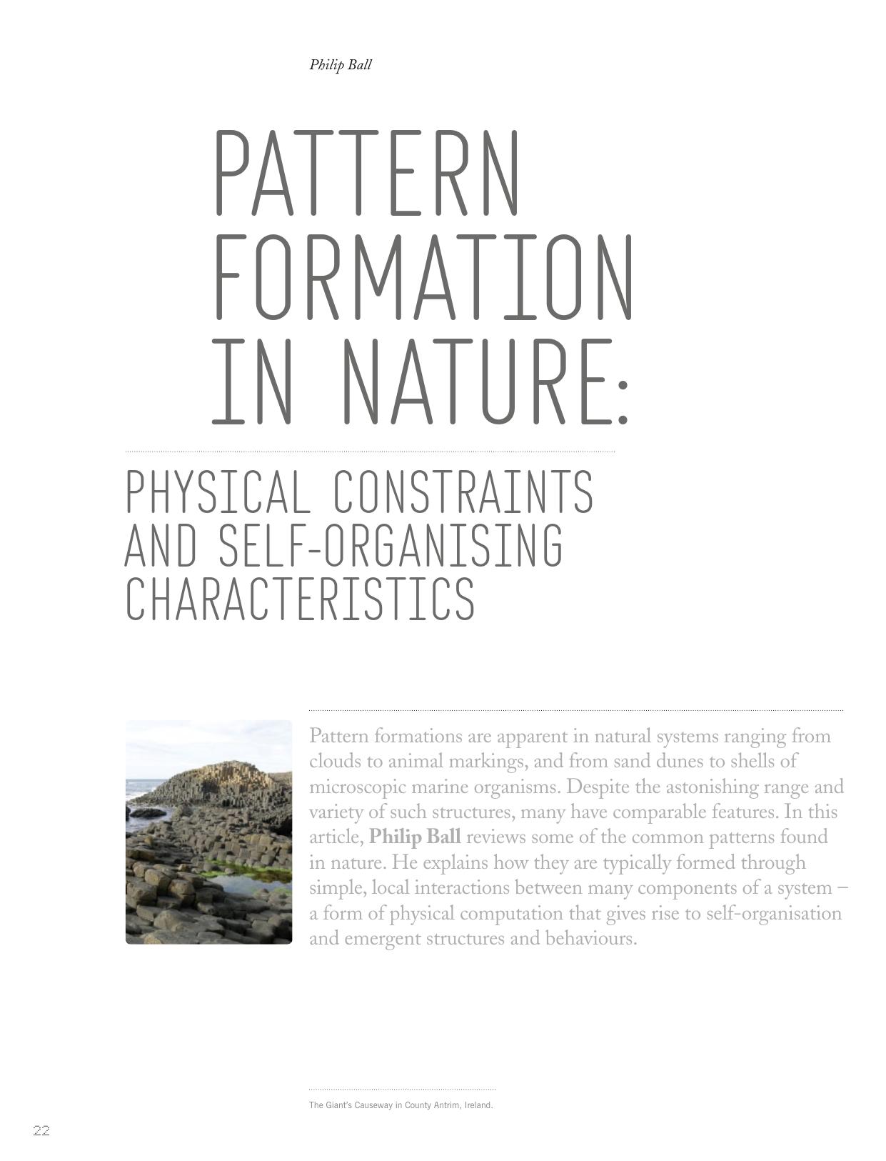 Pattern Formation in Nature: Physical Constraints and SelfOrganising Characteristics