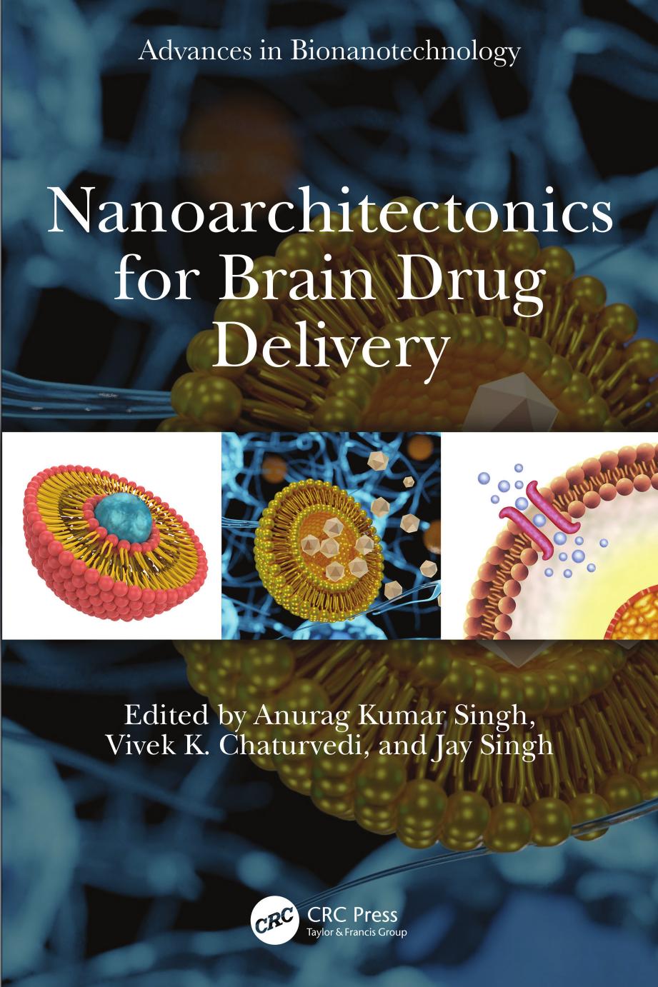 Nanoarchitectonics for Brain Drug Delivery