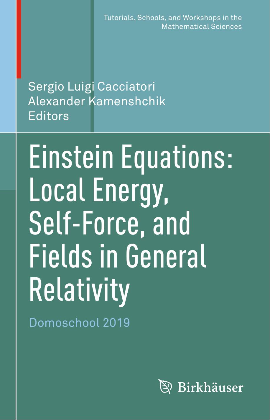 Einstein Equations: Local Energy, Self-Force, and Fields in General Relativity