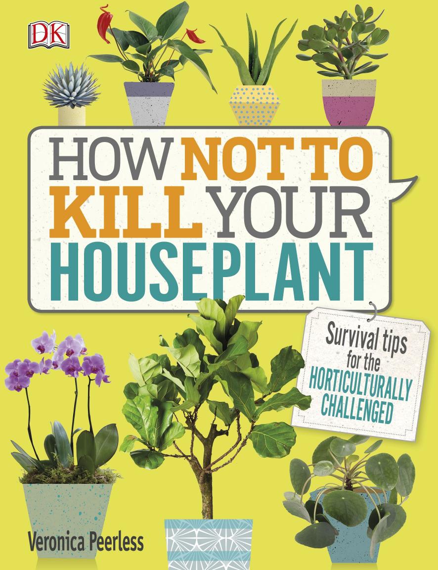 How Not to Kill Your Houseplant