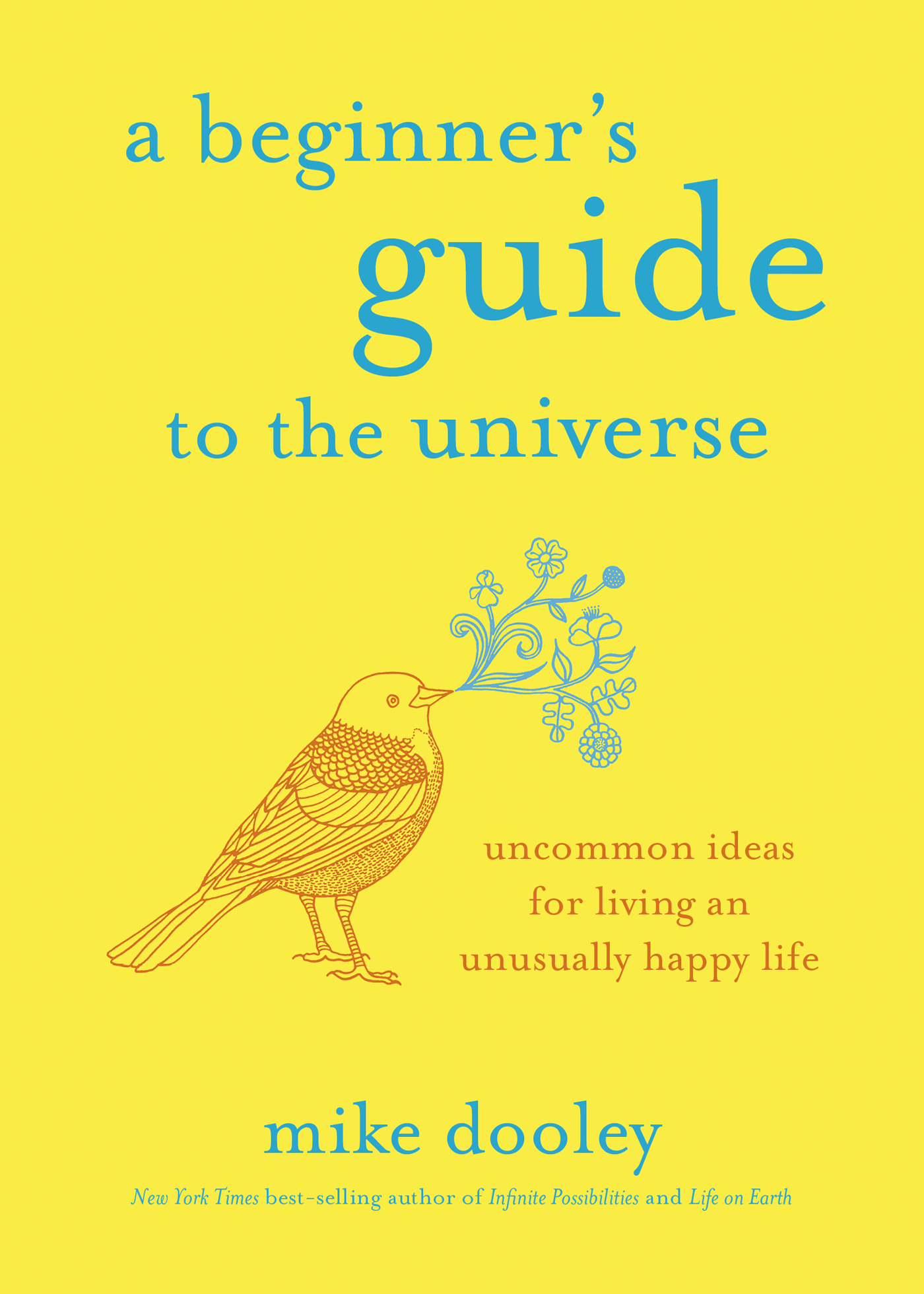 A Beginner's Guide to the Universe