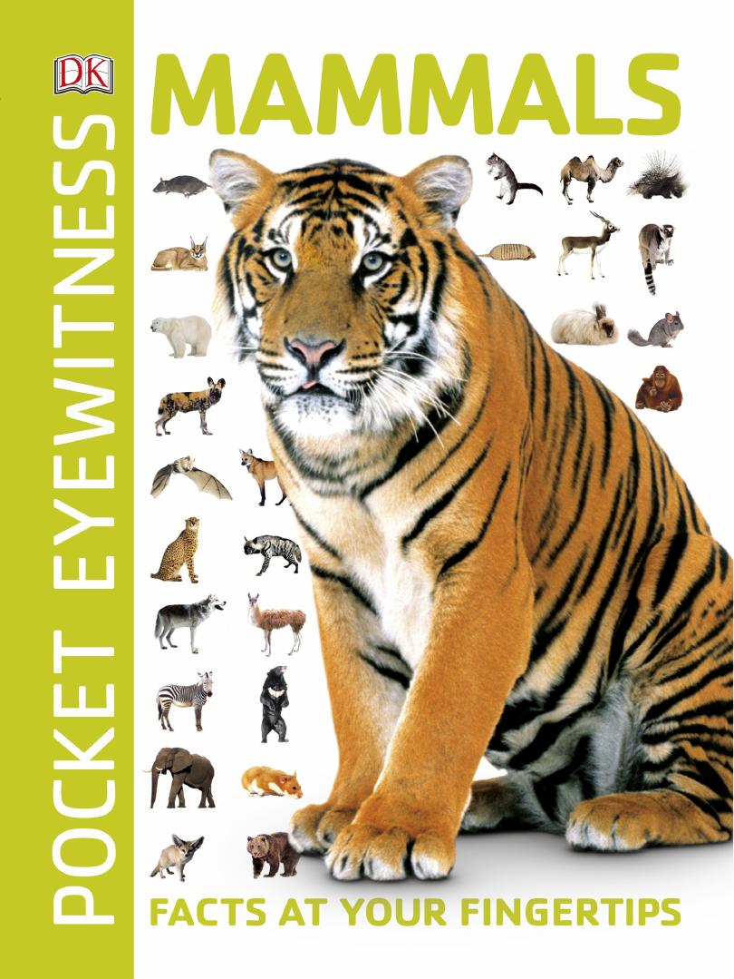 Mammals: Facts at Your Fingertips