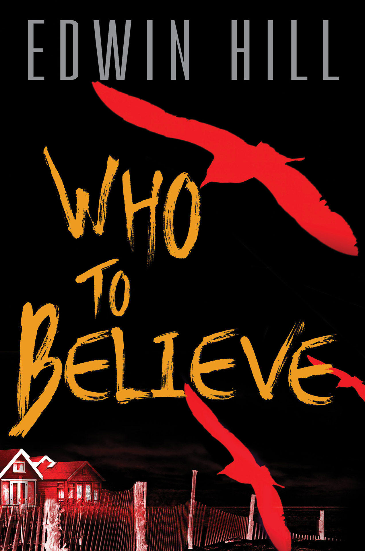 Who to Believe: A twisting domestic thriller