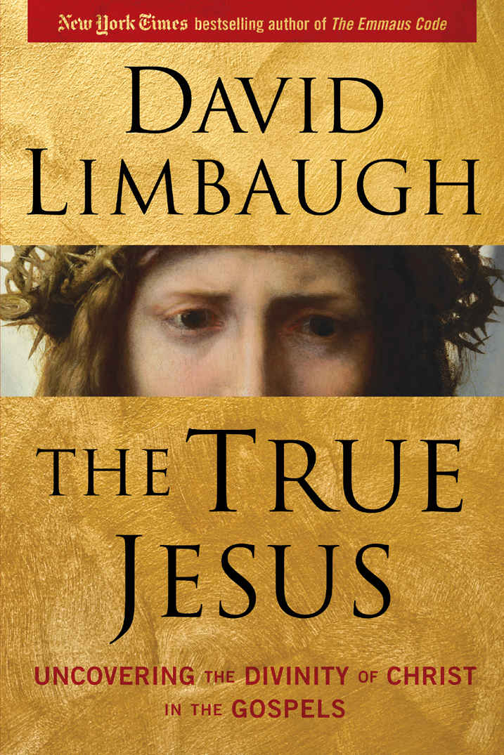 The True Jesus: Uncovering the Divinity of Christ in the Gospels