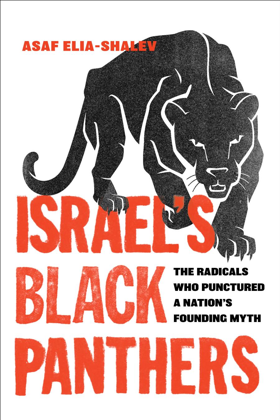 Israel's Black Panthers : the radicals who punctured a nation's founding myth