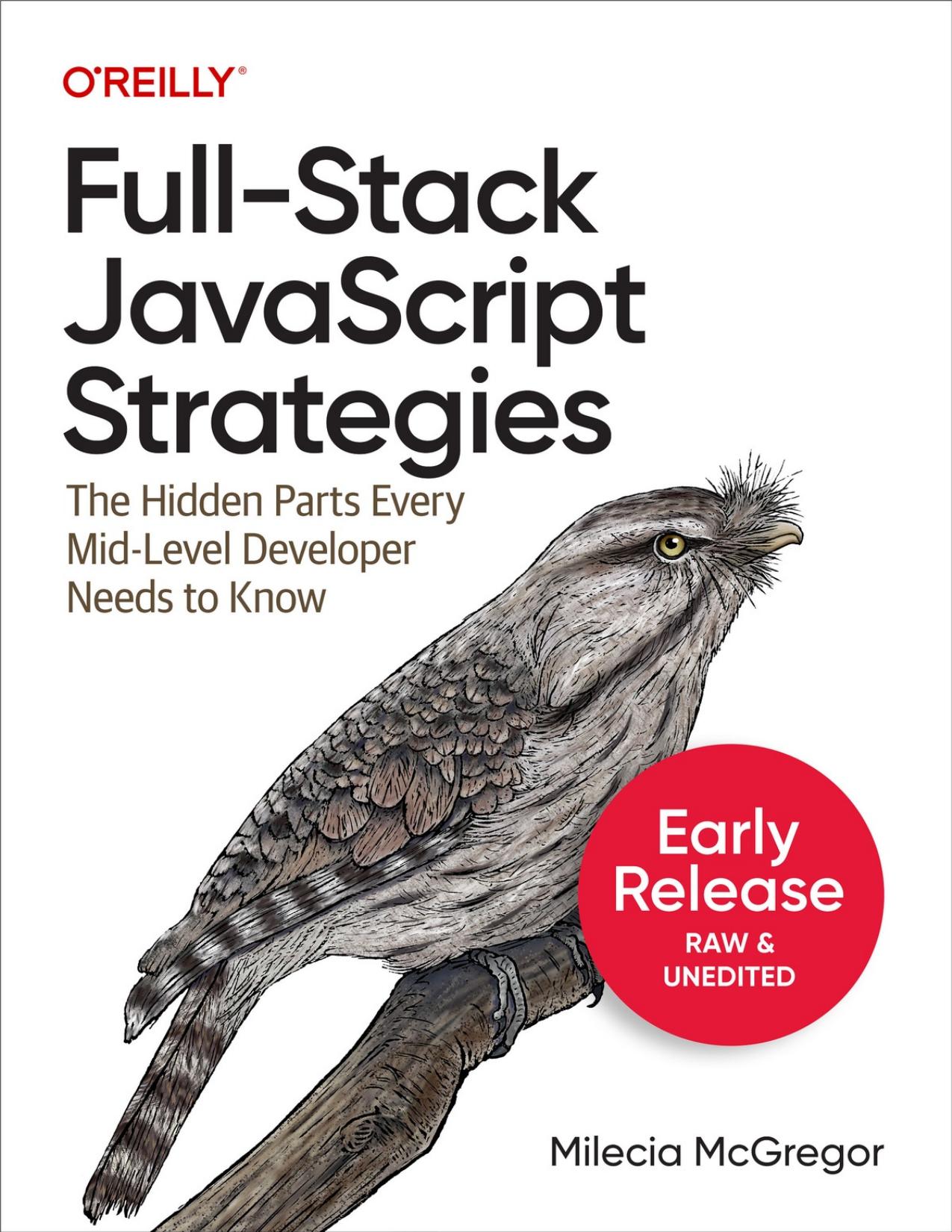 Full-Stack JavaScript Strategies (for Duc Ka)