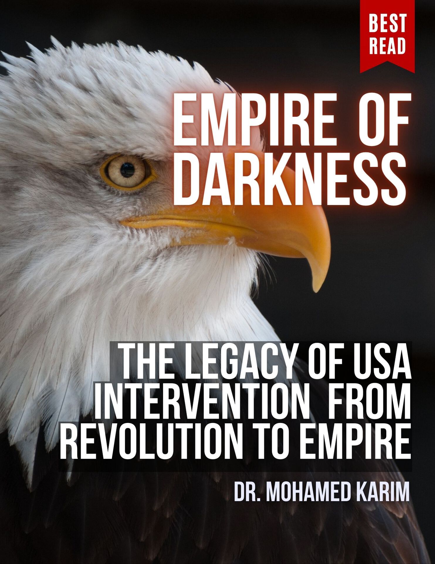 Empire of Darkness: The Legacy of U.S. Intervention from Revolution to Empire