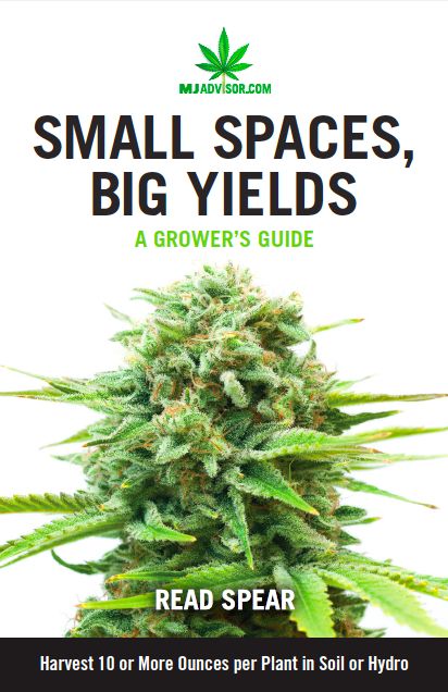 Small Spaces, Big Yields (MJAdvisor)