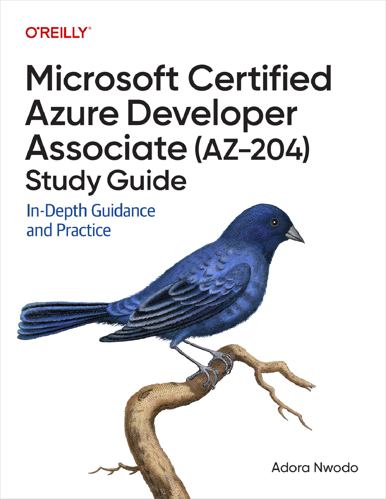 Microsoft Certified Azure Developer Associate (AZ-204) Study Guide (for Raymond Rhine)