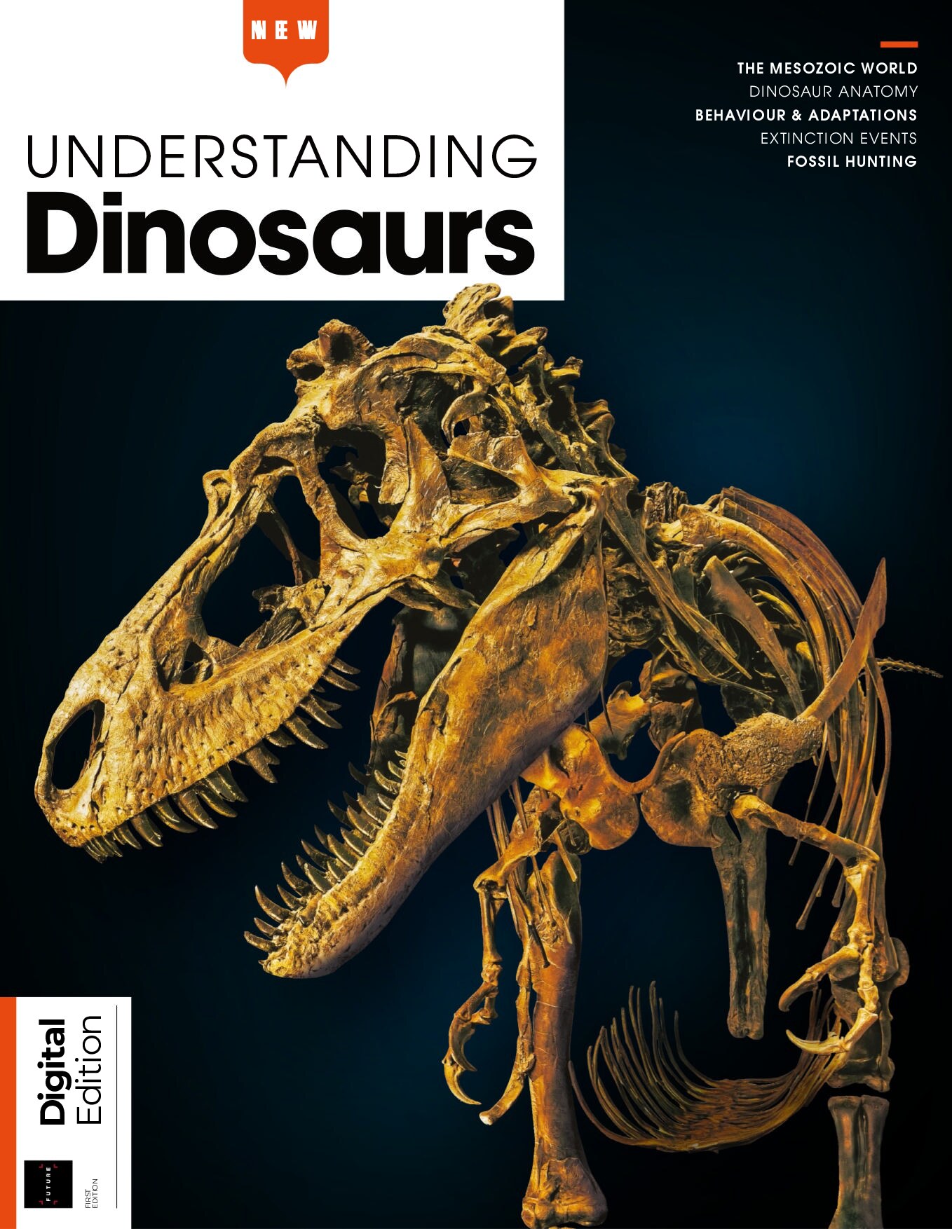 Understanding Dinosaurs - 1st Edition - March 2025