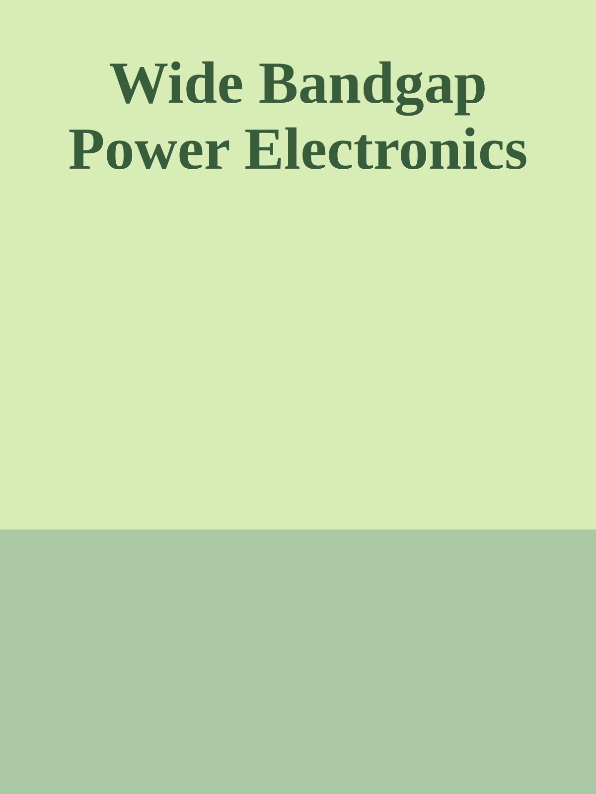 Wide Bandgap Power Electronics