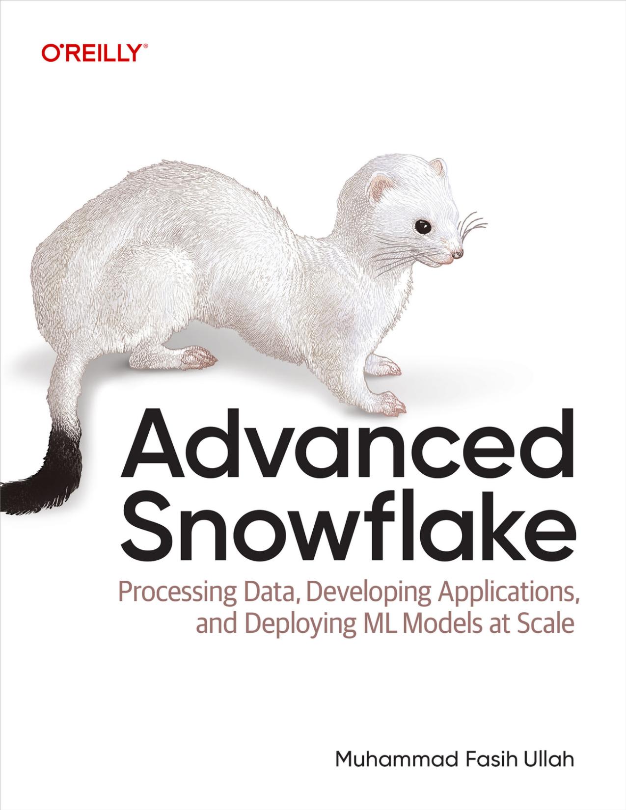 Advanced Snowflake (for True Epub)