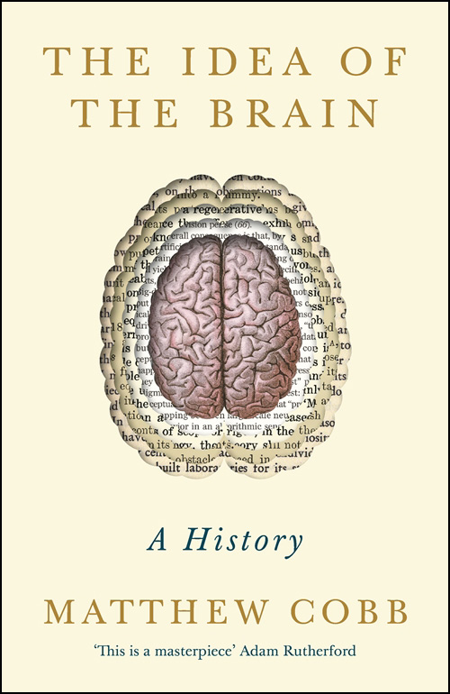 The Idea of the Brain