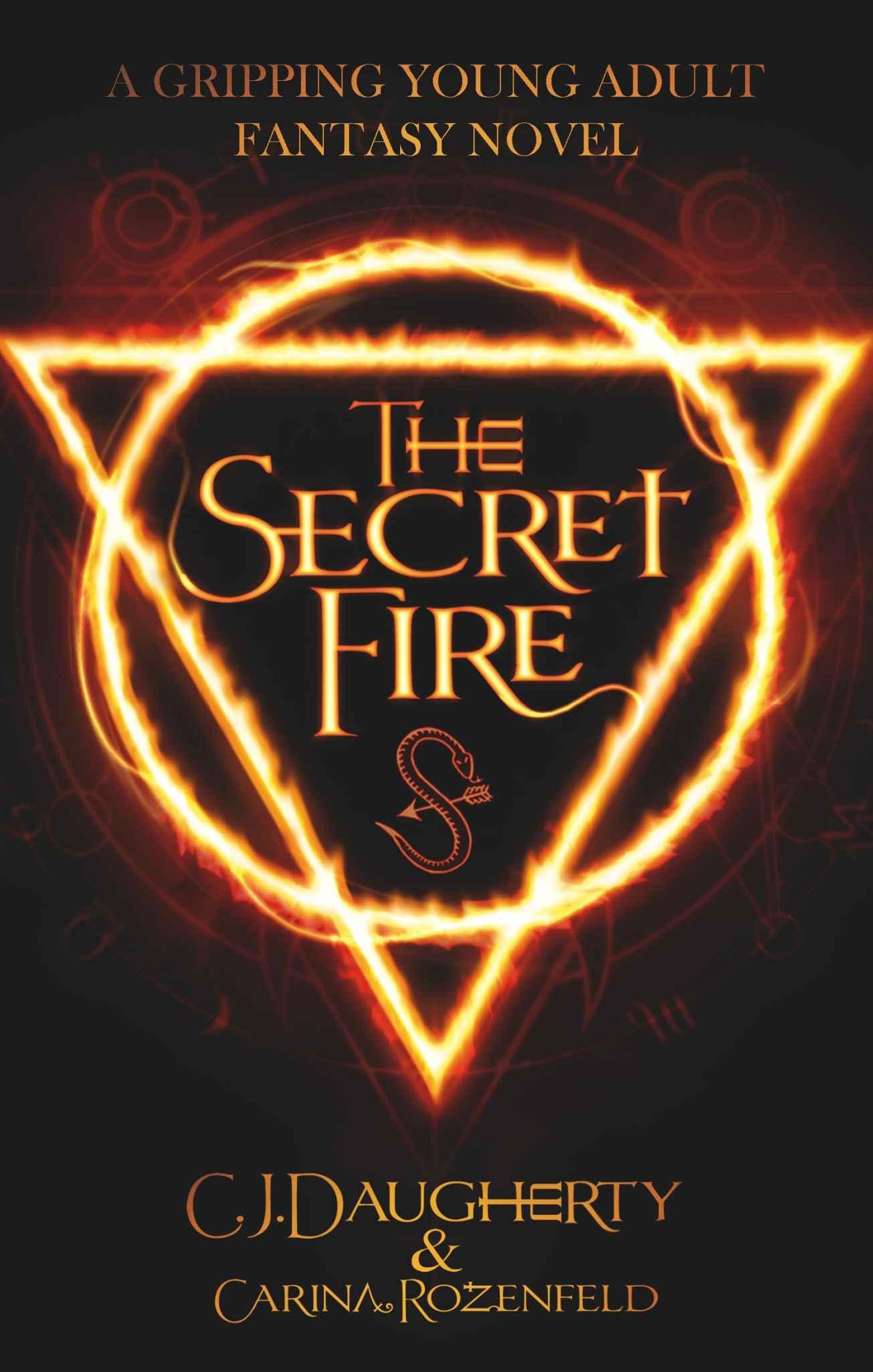 The Secret Fire: A gripping Young Adult Fantasy novel (The Alchemist Chronicles teen series Book 1)