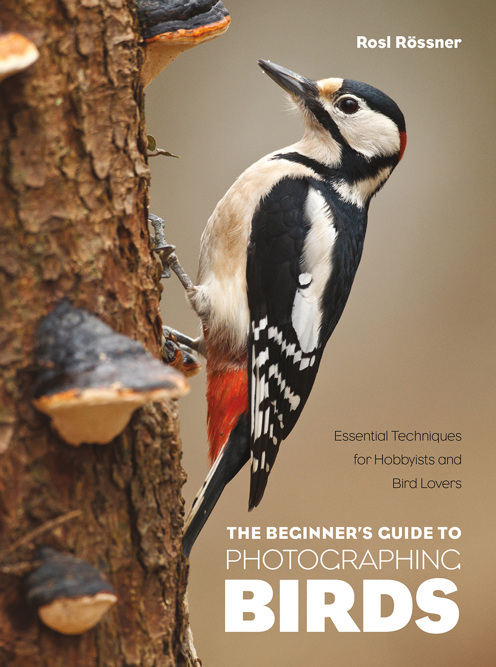 The Beginner’s Guide to Photographing Birds