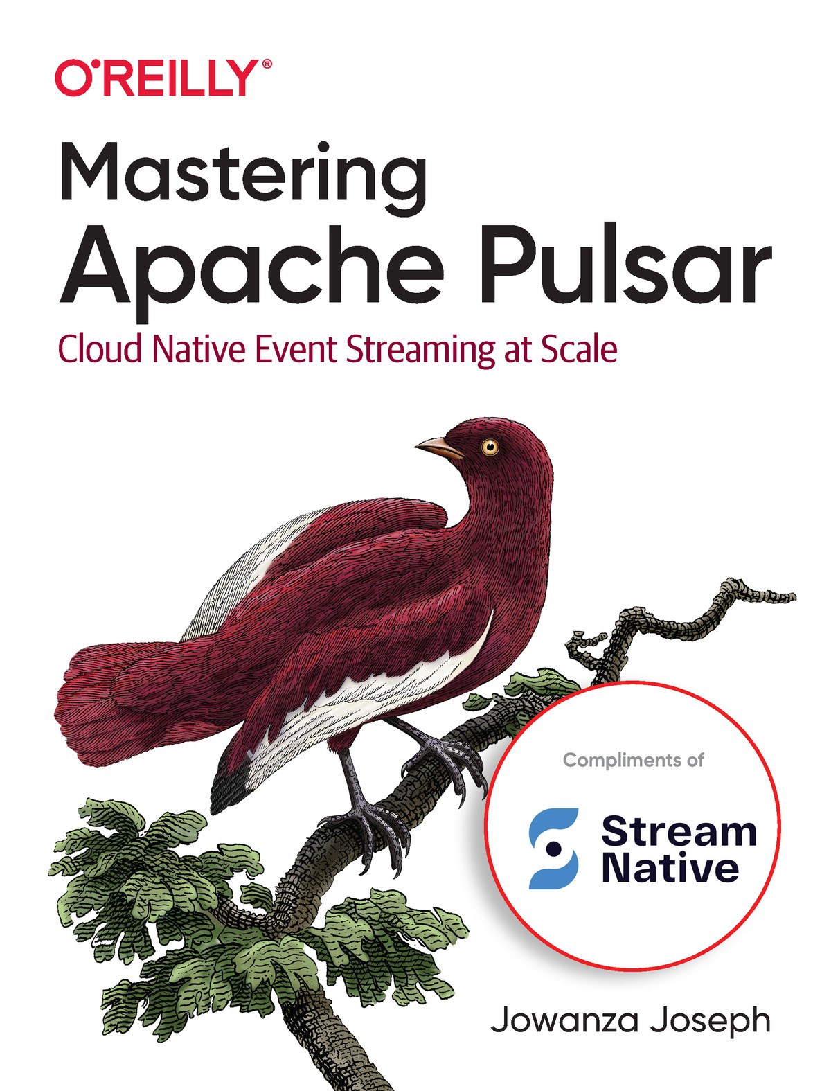 Mastering Apache Pulsar