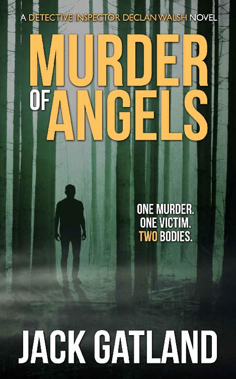 Murder Of Angels - a crime thriller (Detective Inspector Declan Walsh Book 2)