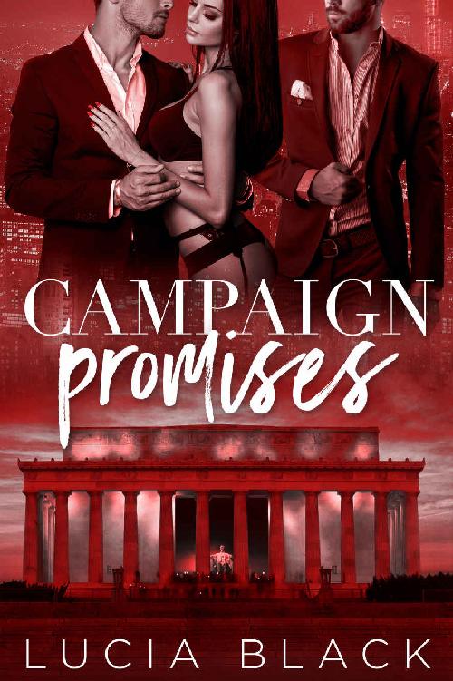 Campaign Promises (Their First Lady Book 2)