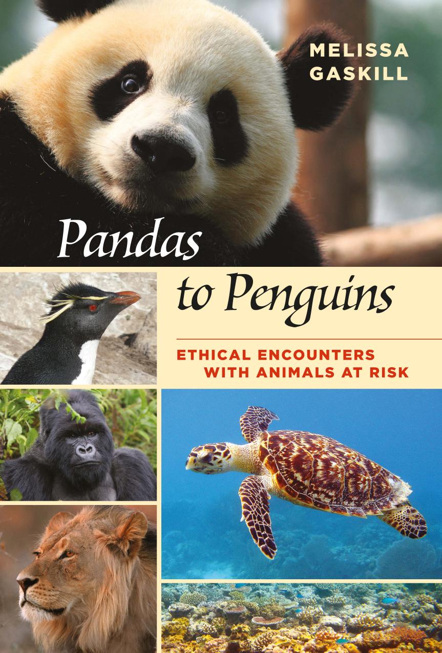 Pandas to Penguins