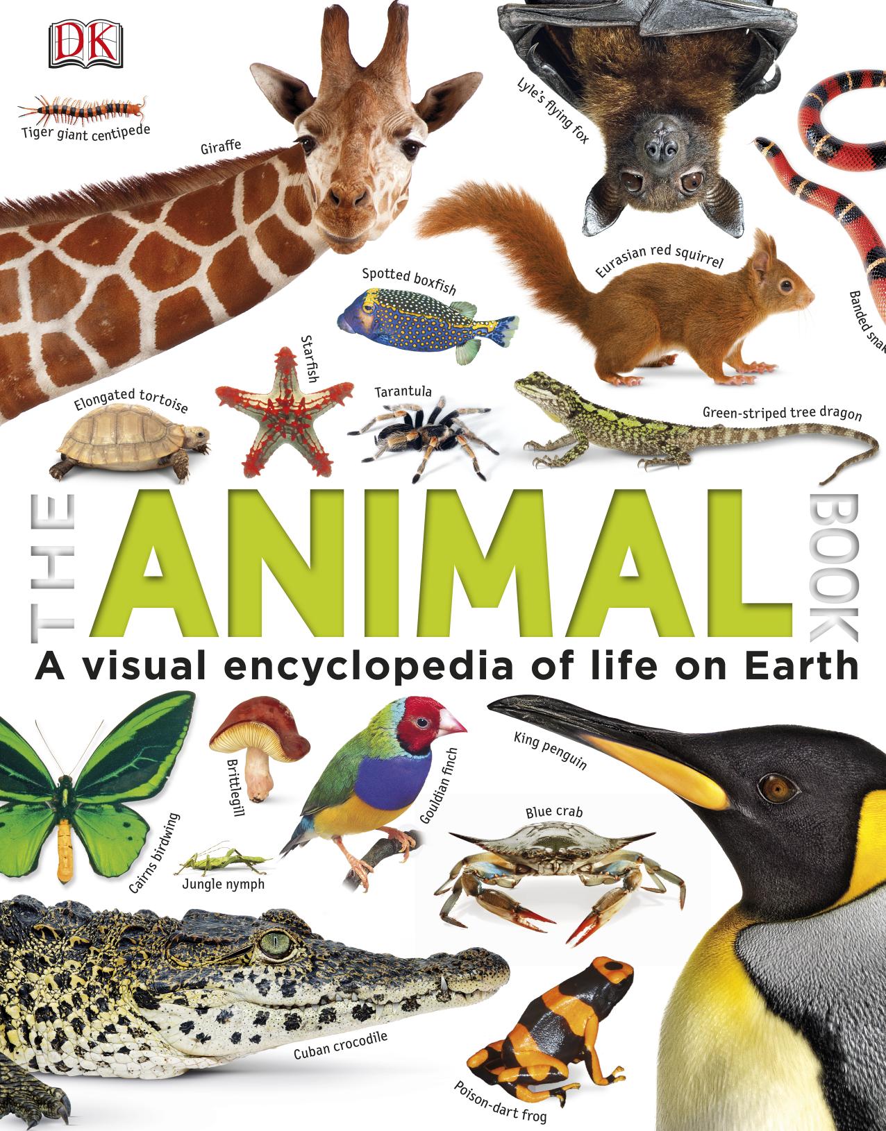 The Animal Book A Visual Encyclopedia of Life on Earth