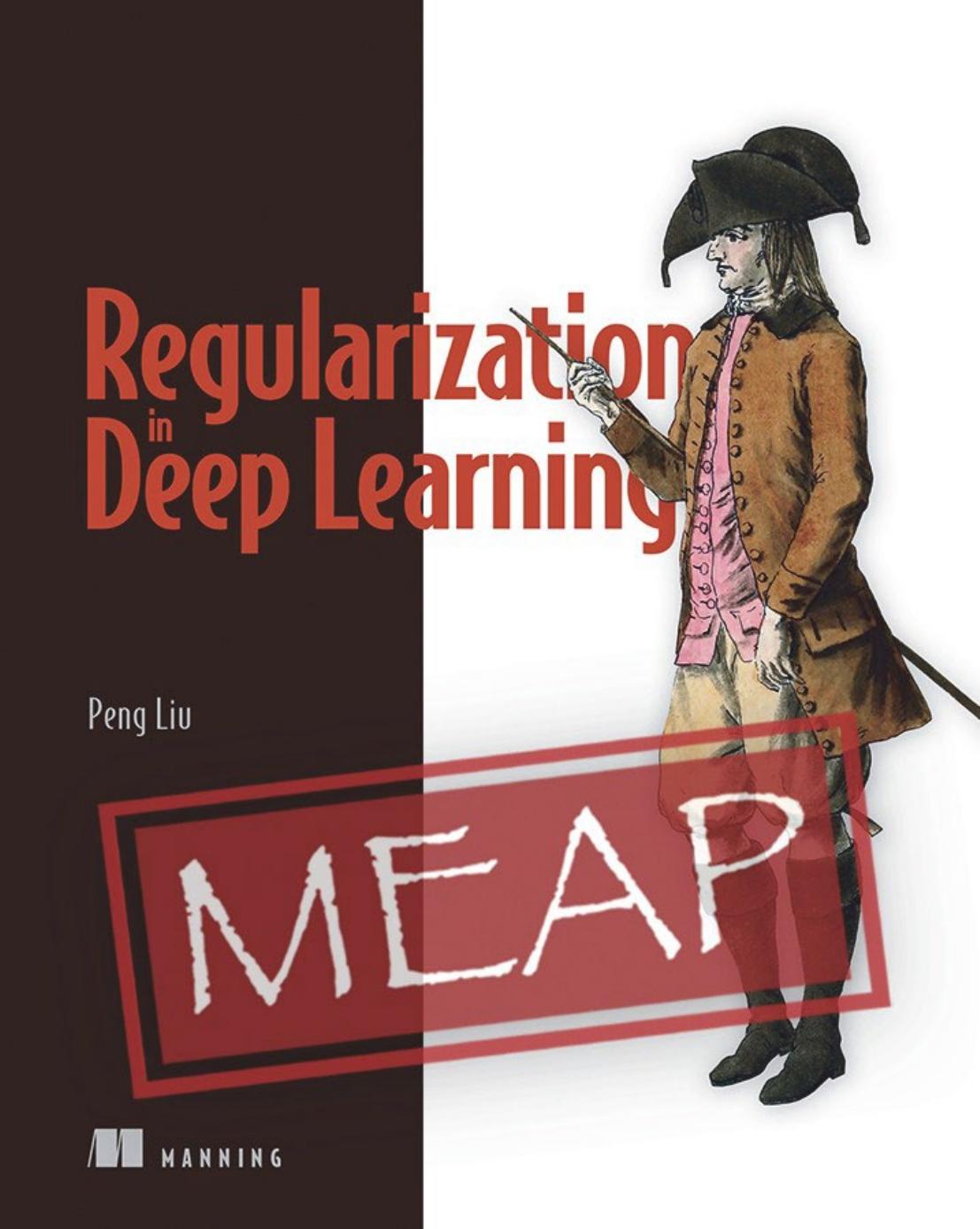 Regularization in Deep Learning MEAP V03