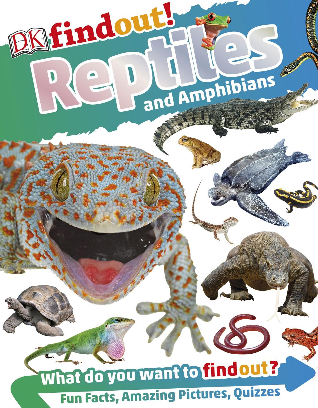 DK Findout! Reptiles and Amphibians